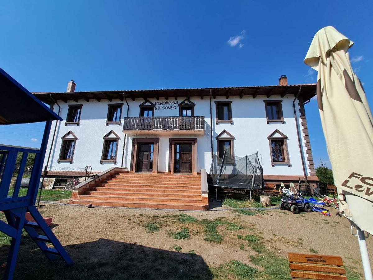 Pensiunea La Conac Bîrlad Exterior foto